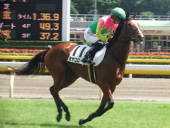 20190616 東京8R 3歳上1勝クラス ミヤコローズ 23