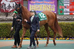 20200215 東京11R クイーンC(G3) 3歳牝馬OP ホウオウピースフル 07