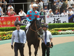 20190601 東京6R 3歳未勝利 マルニ 17