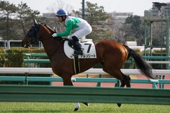 20191215 中山4R 2歳未勝利 アルソリート 19