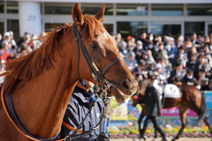 20200105 中山7R 4歳上1勝クラス ヤップヤップヤップ 11