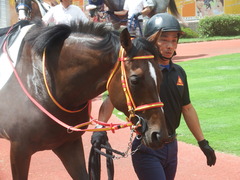 20190810 新潟7R 3歳上1勝クラス ピンシェル 17
