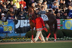 中山12R 4歳上2勝クラス オトナノジジョウ 05