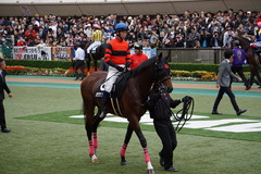 20191124 東京10R ウェルカムS (3勝) オウケンブラック 14