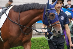 20191015 東京2R 2歳牝馬未勝利 アルソリート 09