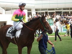 20190908 中山7R 3歳上1勝クラス ミヤコローズ 15