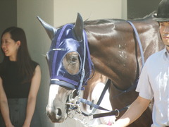 20190928 中山5R 2歳牝馬メイクデビュー アルソリート 03