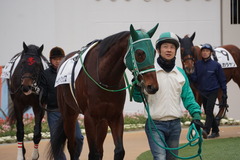 202001111 中山2R 3歳未勝利 トーセンマックス 03