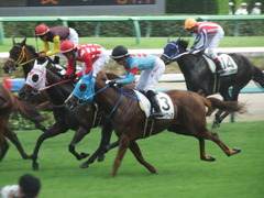 20190908 中山7R 3歳上1勝クラス ヴァルドワーズ 18