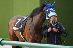 20200125 中山10R 東雲賞(3勝) アドマイヤシナイ 16