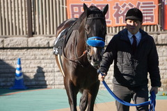 20200202 東京10R 早春S (3勝クラス) ミッキーバード 03