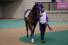 20200215 東京3R 3歳未勝利 シゲルタイタン 09