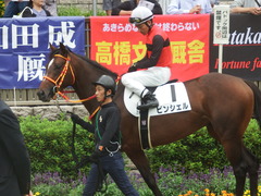 20190609 東京7R 3歳上1勝 ピンシェル 24
