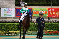 20191015 東京2R 2歳牝馬未勝利 アルソリート 14