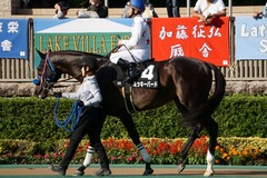 20191102 東京9R 南武特別(2勝クラス) ミッキーバード 17