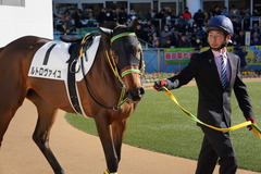 20200105 中山5R 3歳1勝クラス ルトロヴァイユ 04