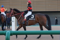 20200111 中山11R 迎春S (3勝クラス) ホウオウドリーム 30