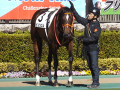 20200209 東京7R 4歳上1勝クラス ピンシェル 14
