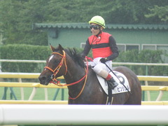 20190810 新潟7R 3歳上1勝クラス ピンシェル 32