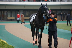 20200216 東京6R 3歳1勝クラス コウソクスピード 17