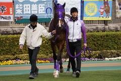 20200215 東京3R 3歳未勝利 シゲルタイタン 17