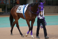 20200215 東京3R 3歳未勝利 シゲルタイタン 02