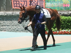 20190616 東京4R 3歳未勝利 ヤップヤップヤップ 08