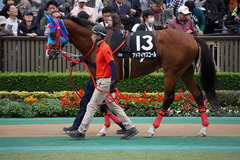 20191124 東京10R ウェルカムS (3勝) アドマイヤスコール 09