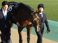 20200208 東京11R 節分S(4歳上3勝クラス) ルーカス 10