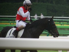 20190622 東京3R 3歳未勝利 ショウナンサジン 20