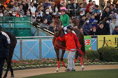 中山12R 4歳上2勝クラス オトナノジジョウ 12