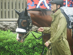 20190622 東京10R 八ヶ岳特別(2勝) ロジスカーレット 11