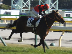 20200209 東京7R 4歳上1勝クラス ピンシェル 23