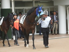 20190921 中山12R 3歳上2勝クラス 02