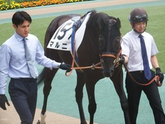 20190601 東京6R 3歳未勝利 マルニ 05