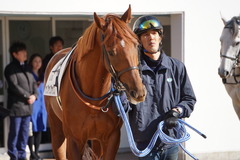 20200105 中山7R 4歳上1勝クラス ヤップヤップヤップ 07
