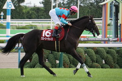 20191006 京都11R 京都大賞典(G2) グローリーヴェイズ 15