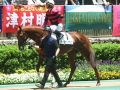20190616 東京4R 3歳未勝利 ヤップヤップヤップ 19