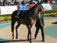 20200209 東京9R ゆりかもめ賞 3歳1勝クラス ルトロヴァイユ 05