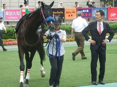 20190608 東京9R 八丈島特別 1勝 ミッキーバード 16