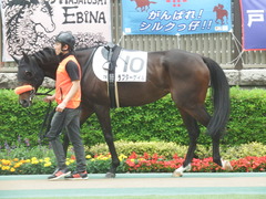 20190518 東京7R (500) ラプターゲイル 04