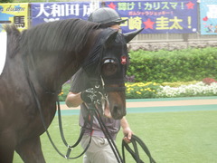 20190622 東京3R 3歳未勝利 ショウナンサジン 16