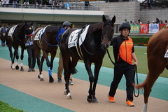 20191026 東京12R 3歳上1勝クラス ラプターゲイル 11