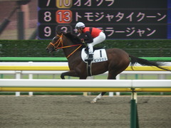 20190609 東京7R 3歳上1勝 ピンシェル 28