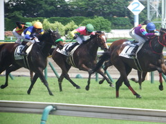 20190616 東京8R 3歳上1勝クラス ミヤコローズ 24