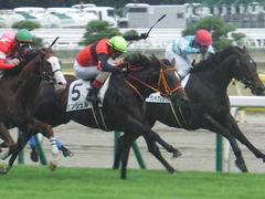 20190810 新潟7R 3歳上1勝クラス ピンシェル 30