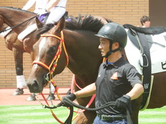 20190810 新潟7R 3歳上1勝クラス ピンシェル 20