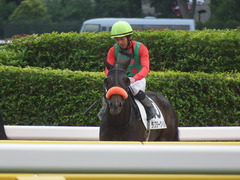 20190518 東京7R (500) ラプターゲイル 18