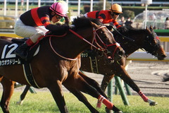 20200202 東京10R 早春S (3勝クラス) オウケンブラック 17