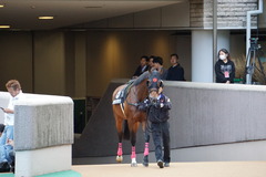 20191124 東京10R ウェルカムS (3勝) オウケンブラック 01